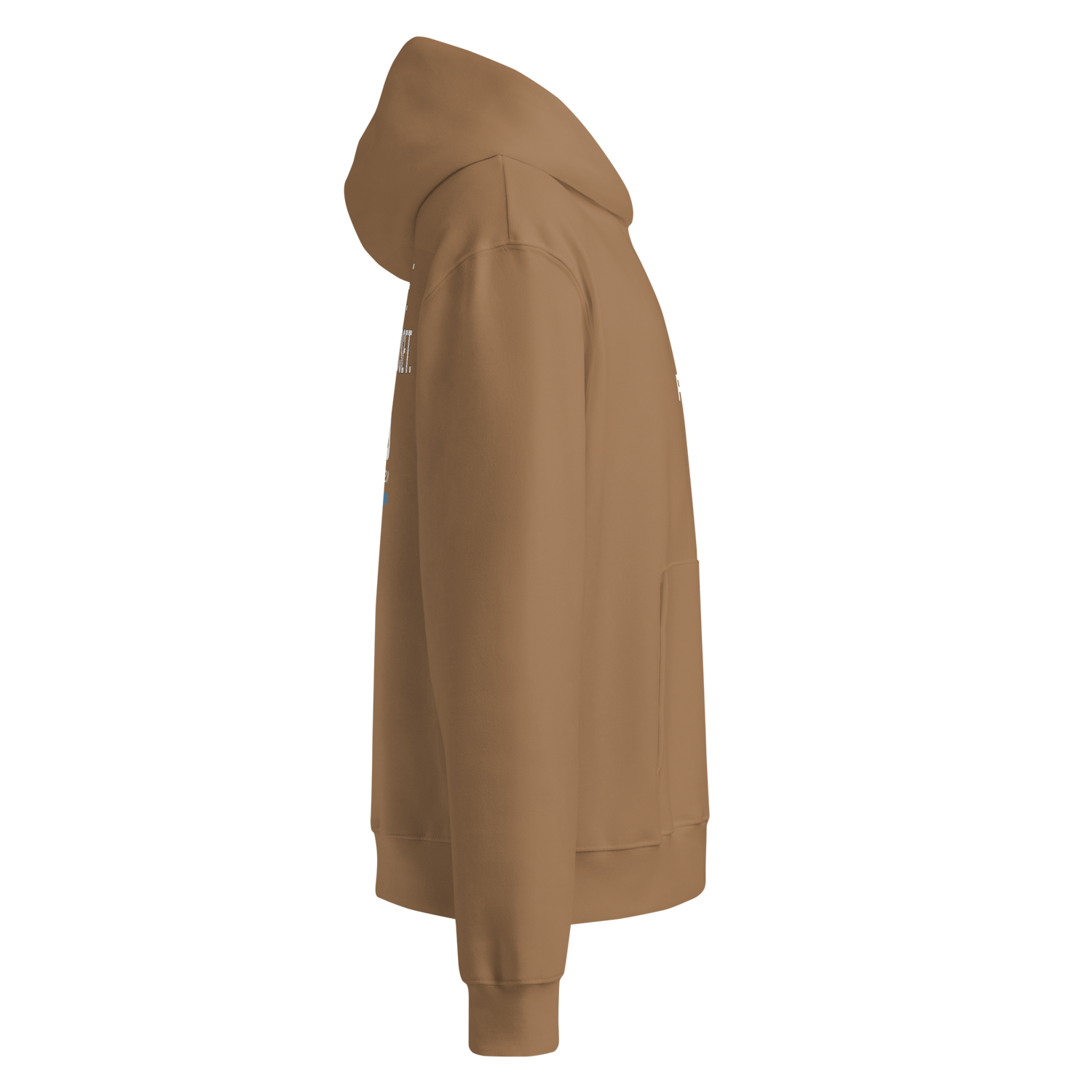 Oversized heavyweight hoodie Future Holdem