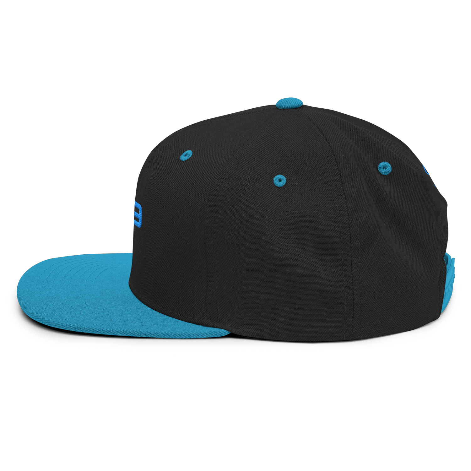 Casquette Flat Summer PK9 Future Holdem