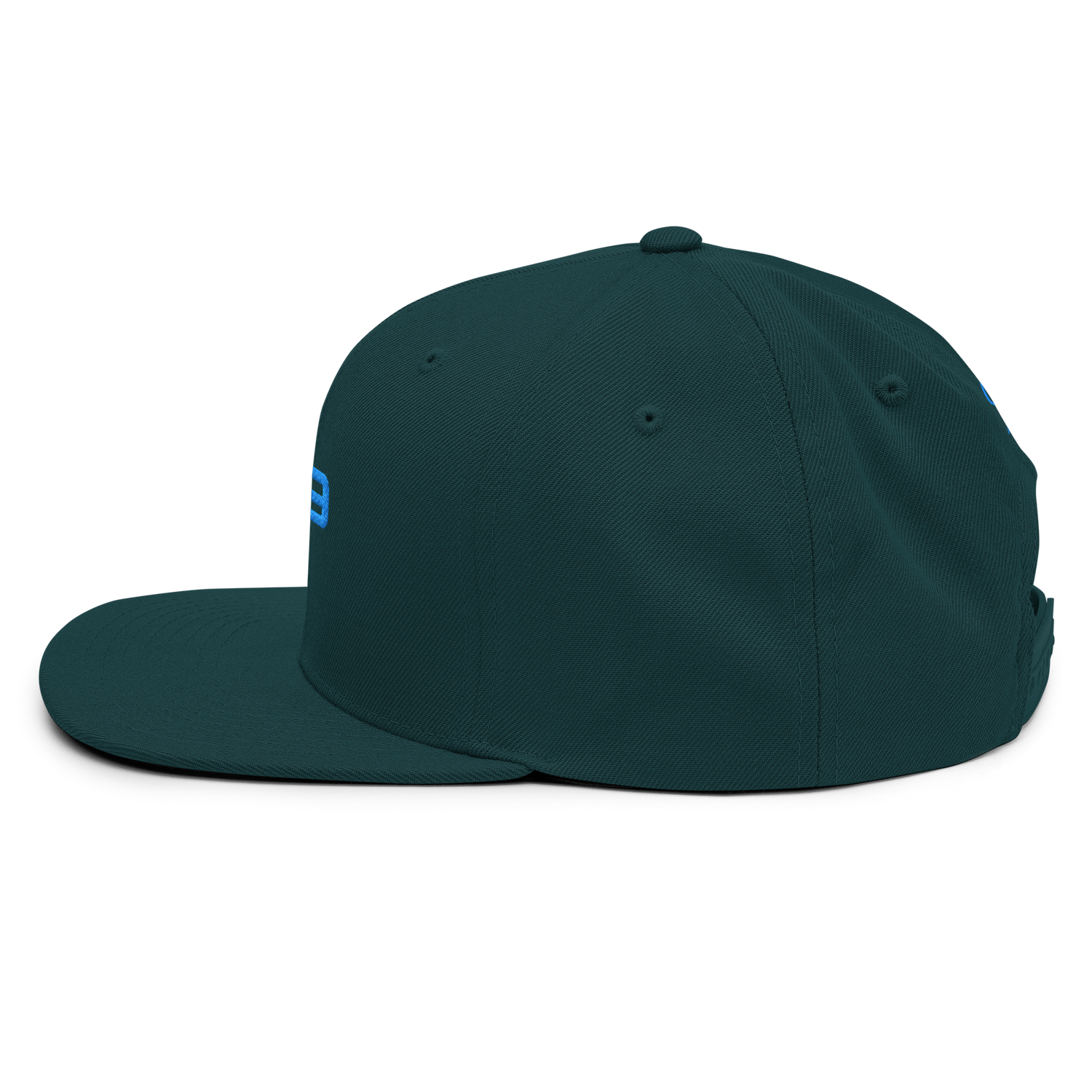 Casquette Flat Summer PK9 Future Holdem