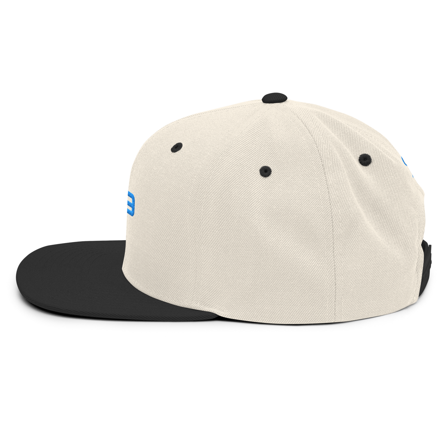 Casquette Flat Summer PK9 Future Holdem