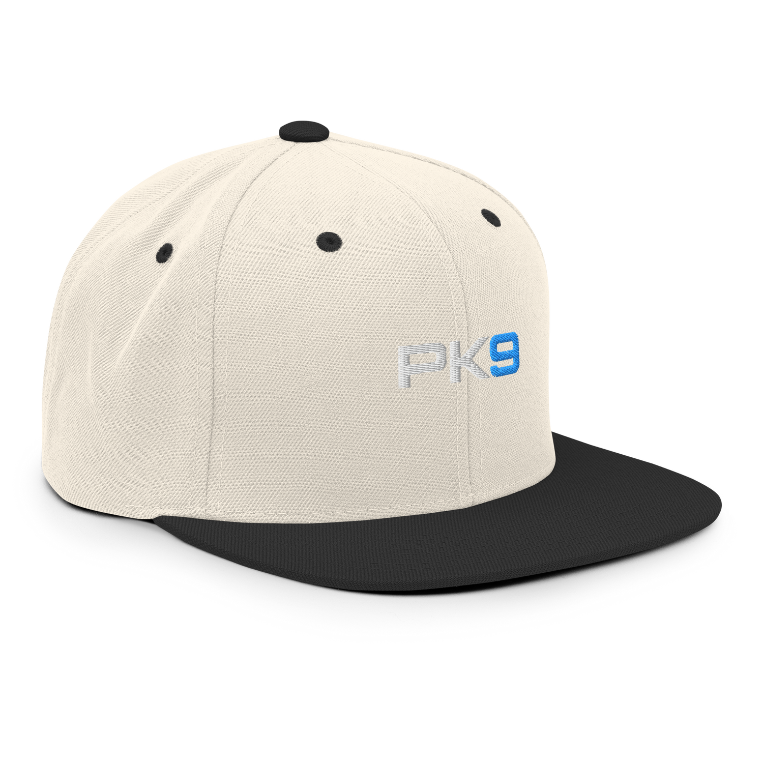 Casquette Flat Summer PK9 Future Holdem