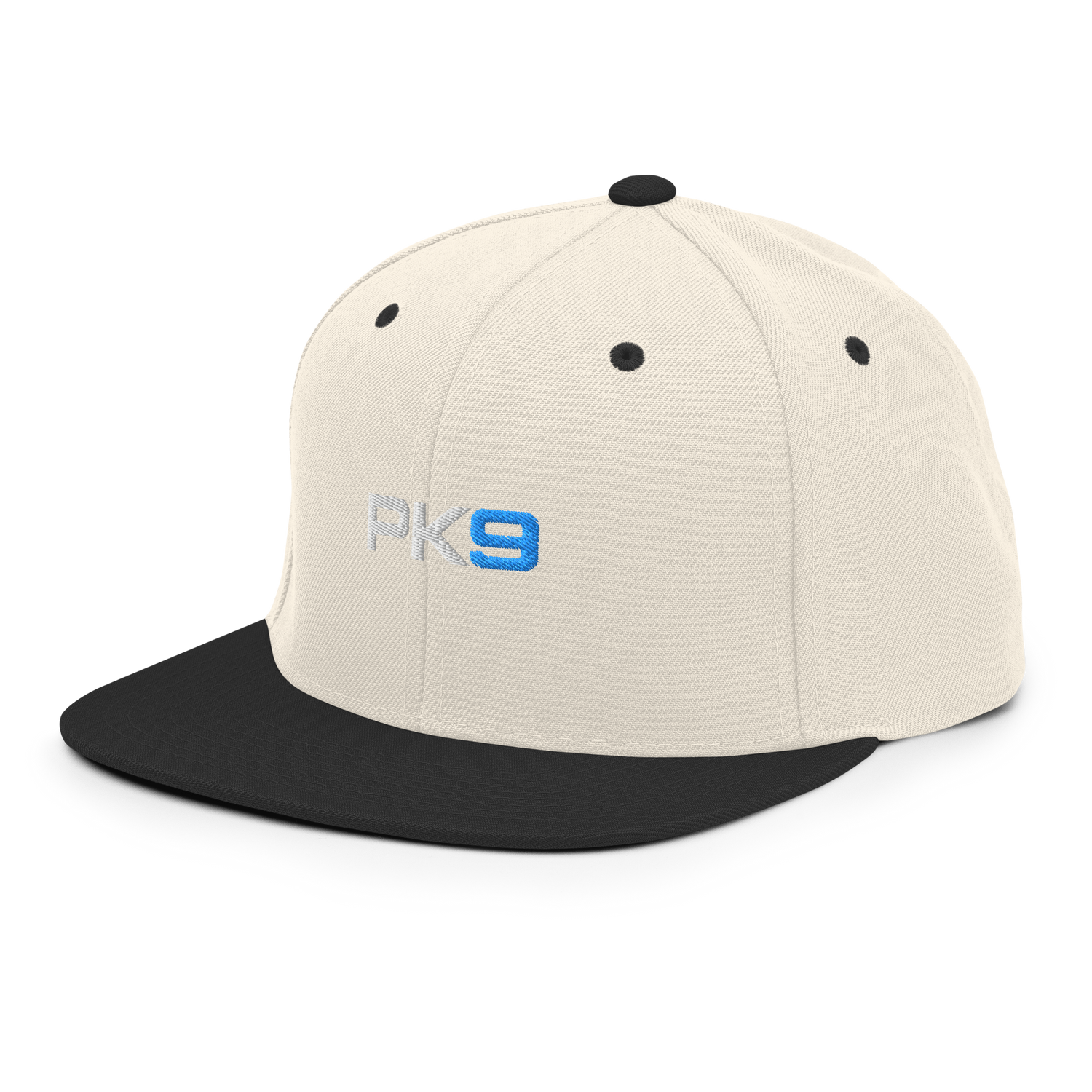 Casquette Flat Summer PK9 Future Holdem