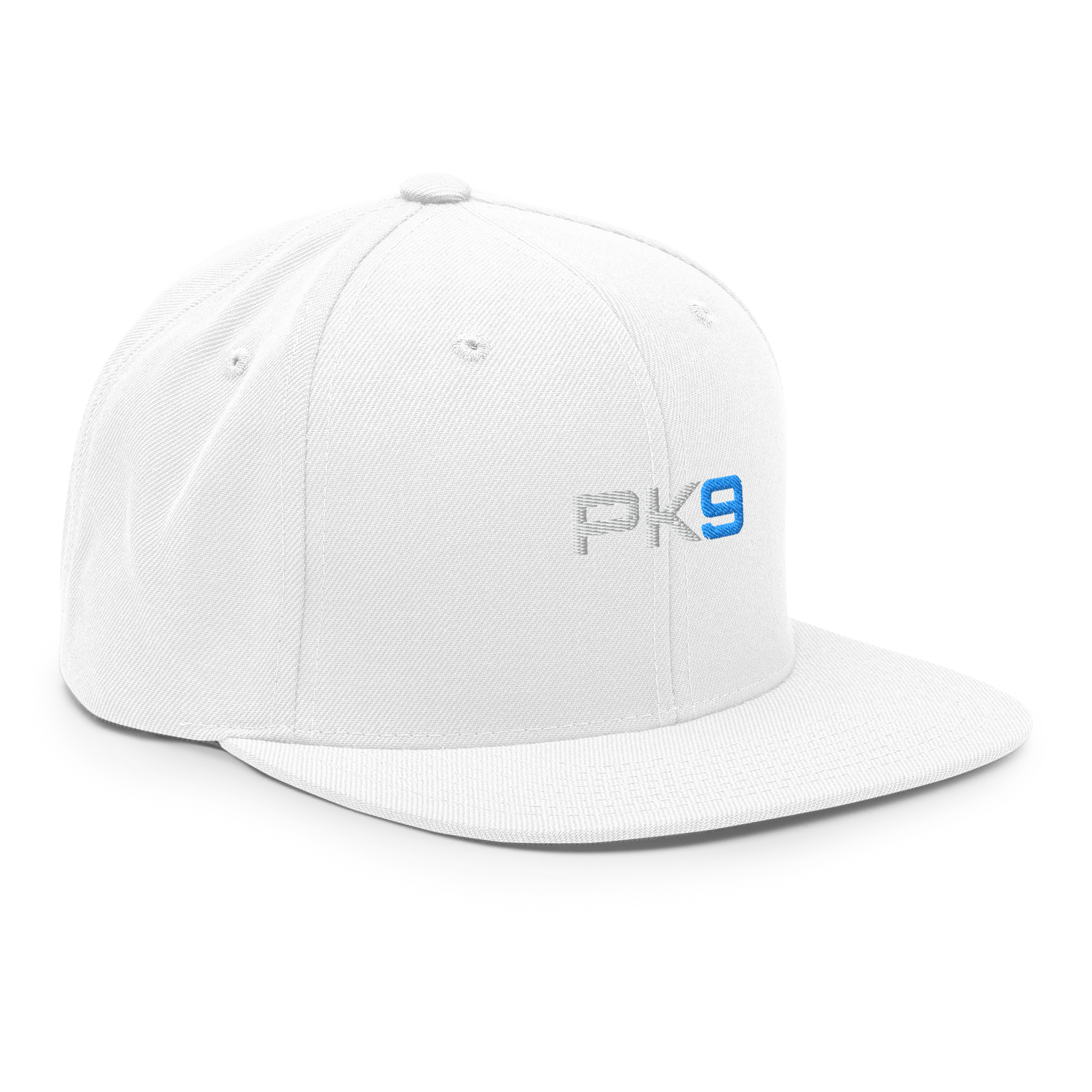 Casquette Flat Summer PK9 Future Holdem