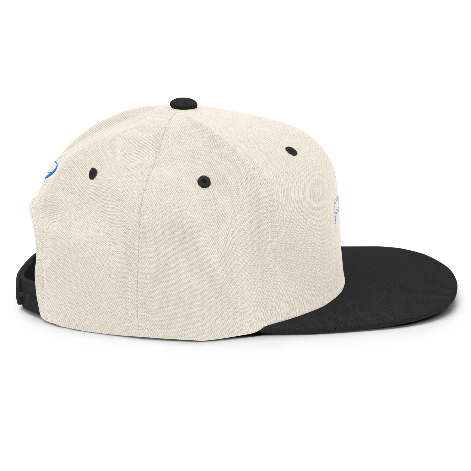 Casquette Flat Summer PK9 Future Holdem