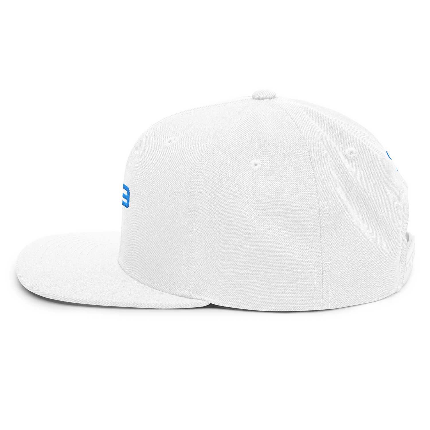 Casquette Flat Summer PK9 Future Holdem